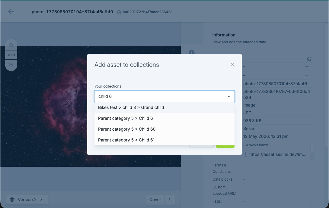 SaferAssetManagement